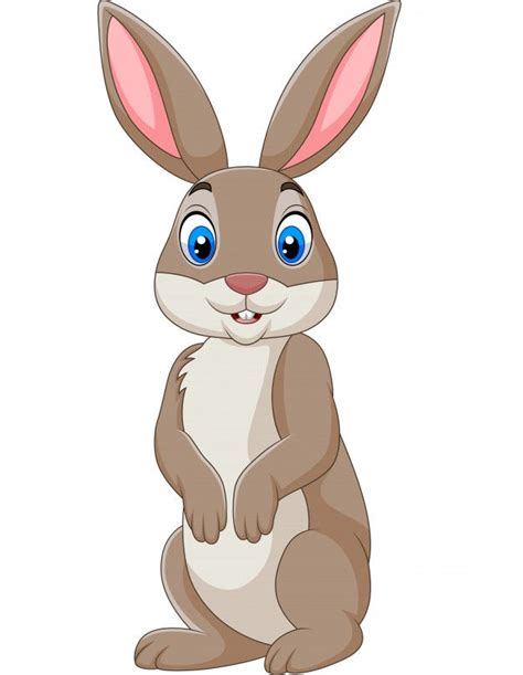 imagem de coelho em desenho