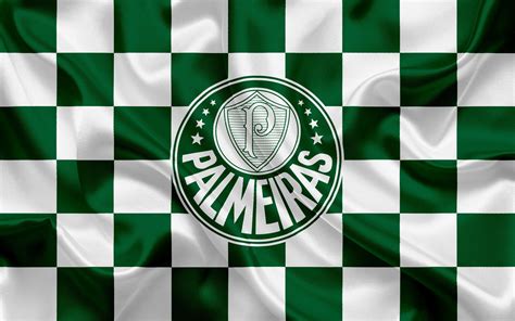 imagem de fundo palmeiras