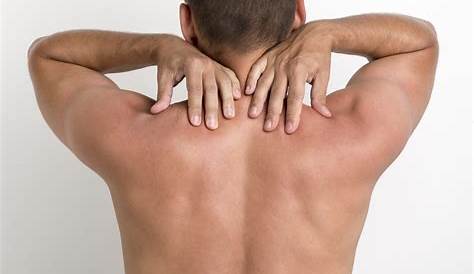 Guía Científica Para Entrenar La Espalda (Para Hombres Y Mujeres)