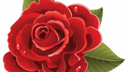 Flores - Rosa cor de Rosa 2 | Flower drawing, Flower clipart, Rose