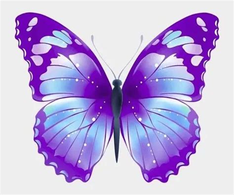 Imagem Borboleta Desenho PNG 150 Imagens em PNG