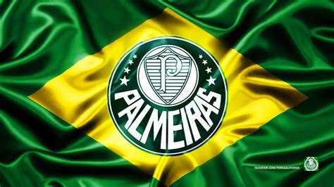 imagens de fundo do palmeiras