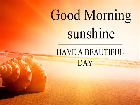 25 + Beautiful Good Morning Sunshine Images With Quotes MK Wishes