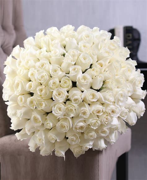 images bouquet of white roses