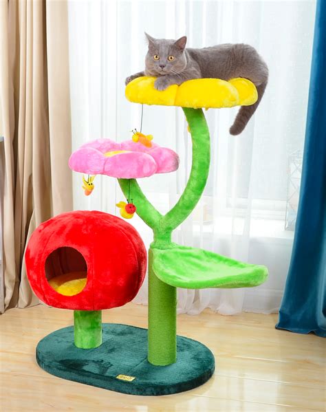 Images Of Cat Trees