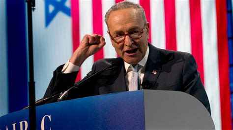 images of chuck schumer jpeg with israel flag