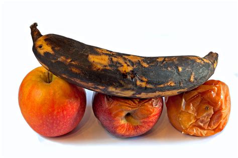 images of rotten fruit