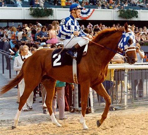 images of secretariat horse