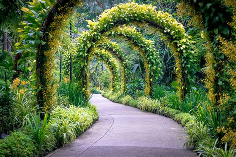 images of singapore botanic gardens