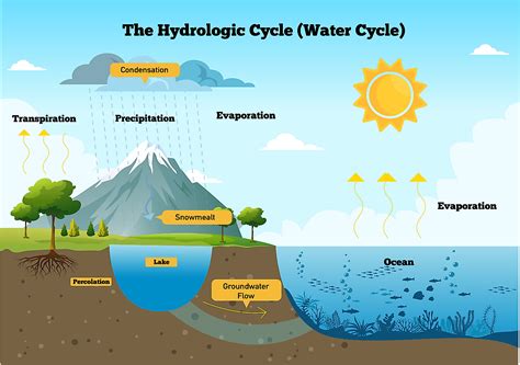 images of water cycle class 7