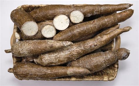 images of yucca root