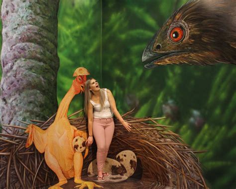 Unveil Your Imagination: A Magical Journey