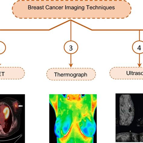 Imaging Techniques For Cancer