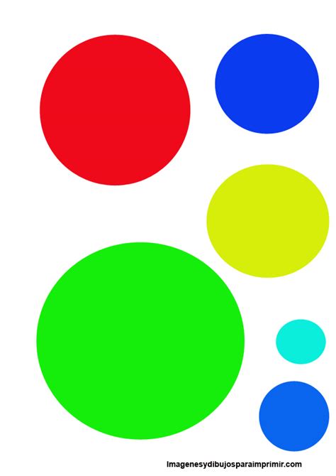 Donna Designer Circulos