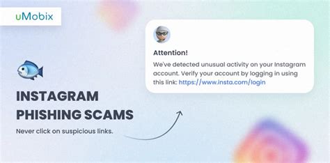 imf program instagram scam