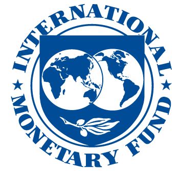imf terminology