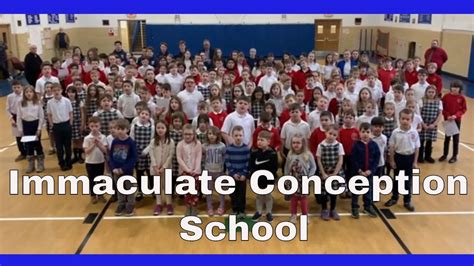 immaculate conception school 14052