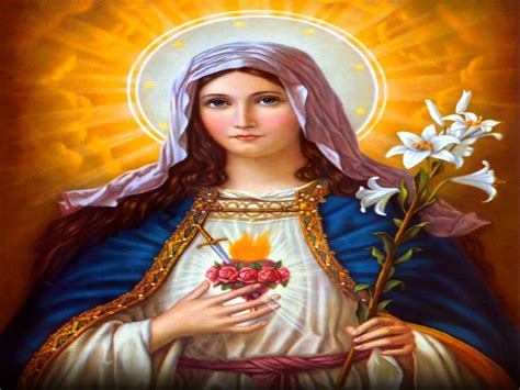 immaculate heart of mary mass