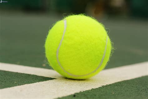 immagine pallina da tennis
