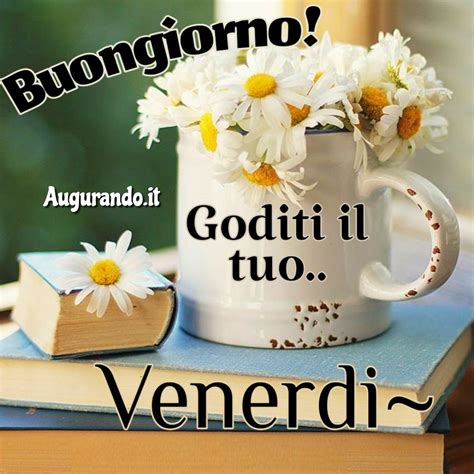 immagini buongiorno buon venerdi di giugno