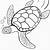 immagini di tartarughe marine da colorare