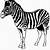 immagini di zebra da colorare