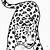 immagini leopardo da colorare