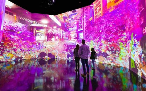 Immersive Art Experiences
