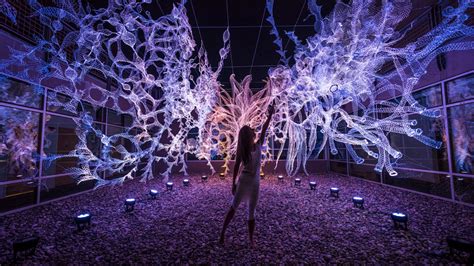 immersive light installations