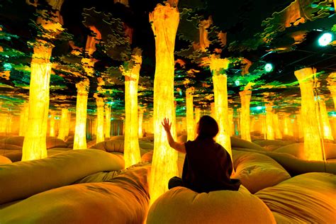 immersive sensory experience