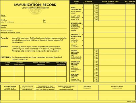 Immunization Card Printable