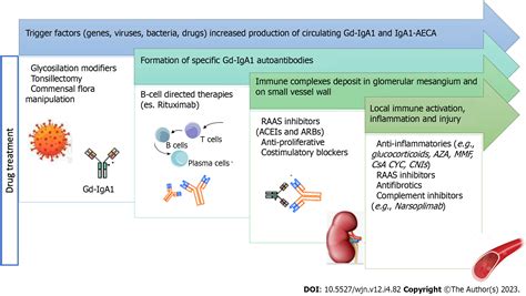 immunoglobulin a vasculitis icd 10