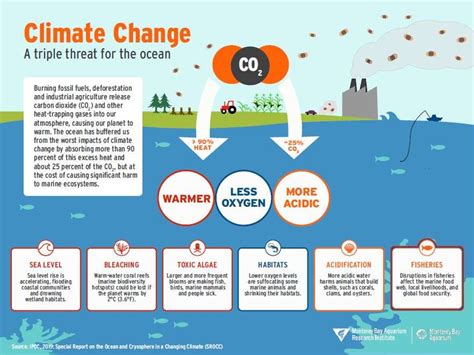 Impact of Climate Change on Ocean Life