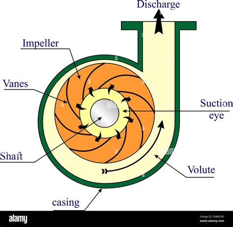 Impeller Parts And Functions