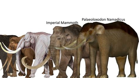 imperial mammoth height