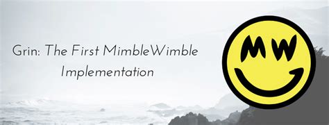 Implementation of Mimblewimble in Crypt3154