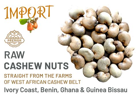 import duty on raw cashew nuts in india