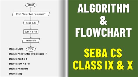 importance of algorithm and flowchart
