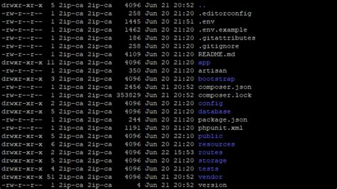 Diagram showing the importance of chmod in Linux security