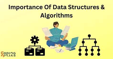 importance of data structures and algorithms