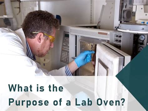 Importance Of Lab Oven