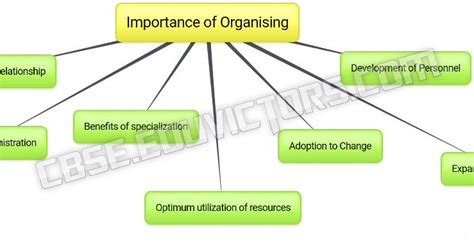 Importance Of Organizing Class 12