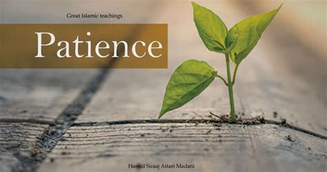 Importance of Patience