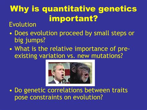 importance of quantitative genetics