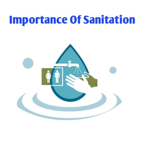 Importance Of Sanitation