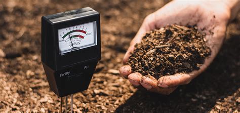 importance of soil sampling and analysis