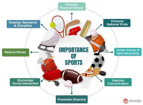 importance of sports in france