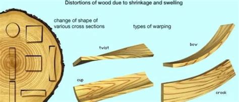 Importance Of Wood Drying