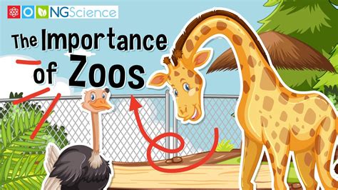 Importance Of Zoo In Points
