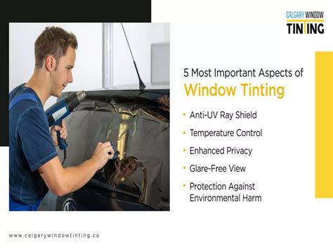 importance+window+tinting